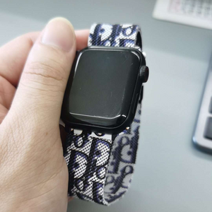 Dior apple 2025 watch band